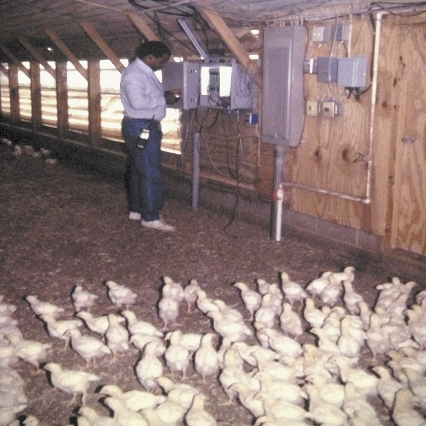 A state-of-the-art computerized broiler house management system for monitoring and controlling growout operations