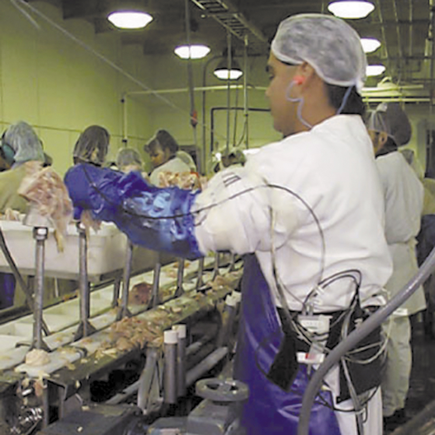 An innovative ergonomic work assessment system to help reduce repetitive motion injuries in poultry processing workers