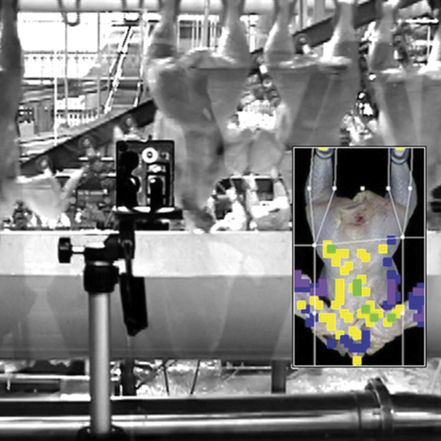 One of the first computer vision systems developed specifically for poultry quality and defect screening