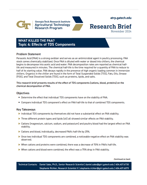 Research Brief Topic 4 November 2024